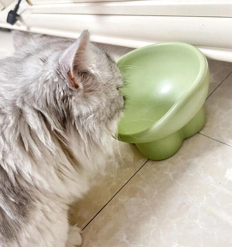猫咪为何总在碗底留下一些猫粮？