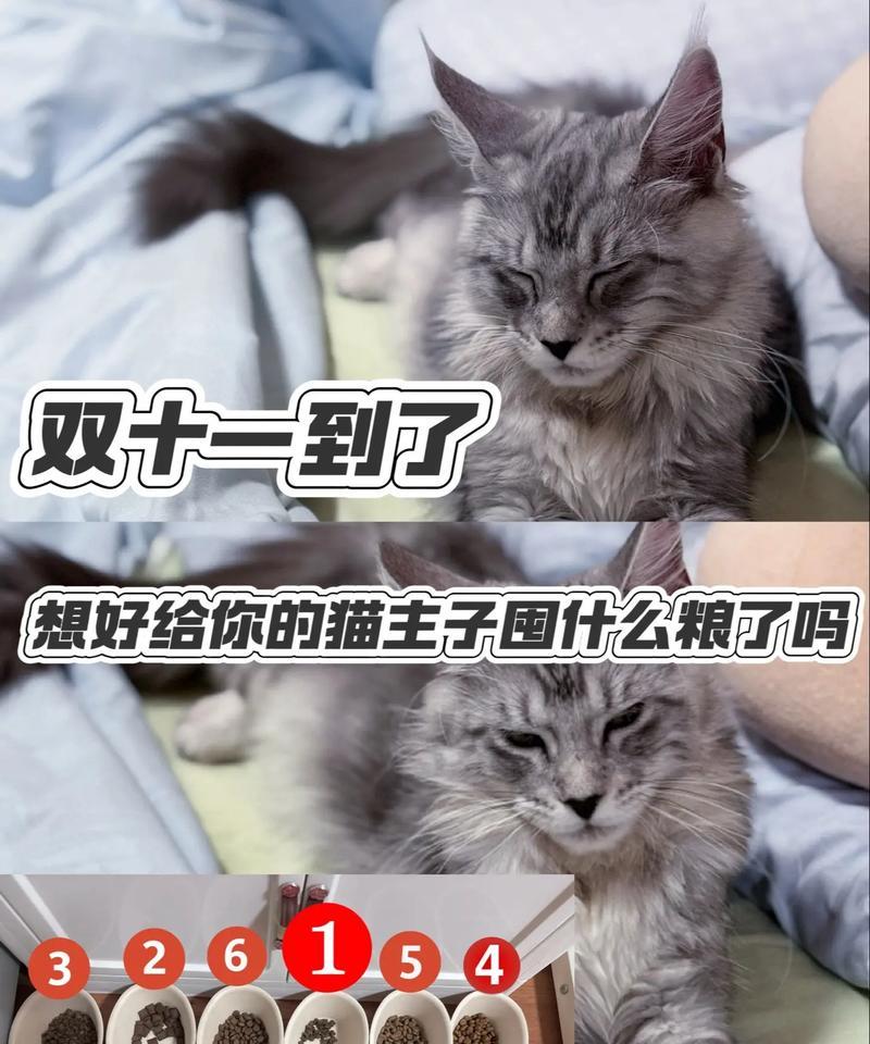 猫咪为何总在碗底留下一些猫粮？