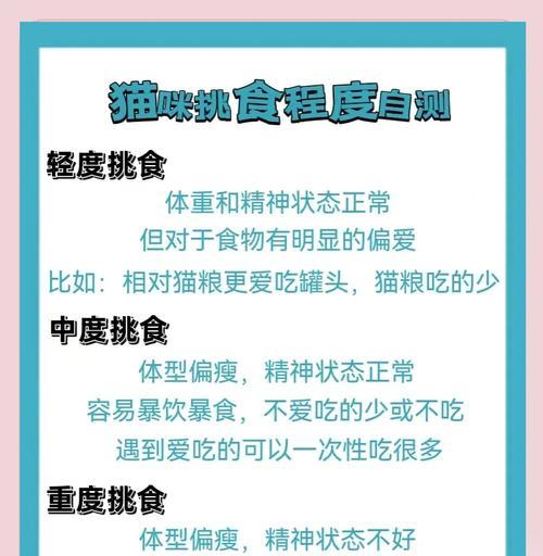 如何防止猫咪偷吃猫粮？