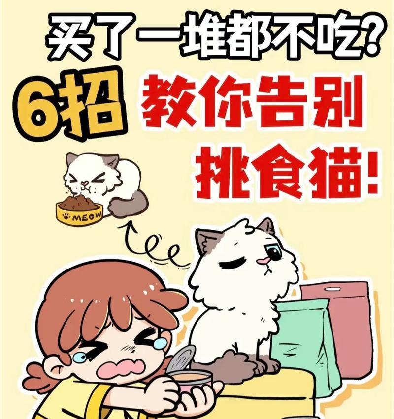 如何防止猫咪偷吃猫粮？
