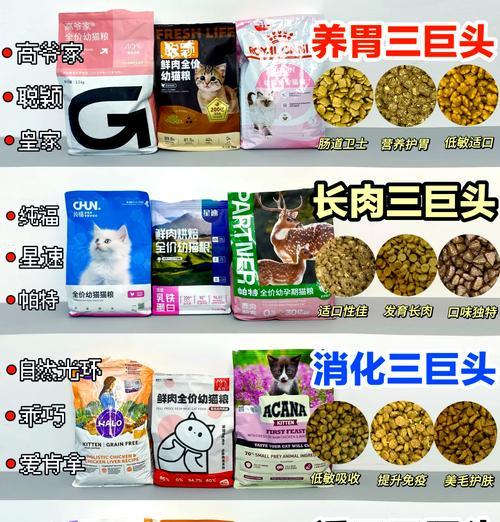 德牧一岁多发情期通常持续多久？