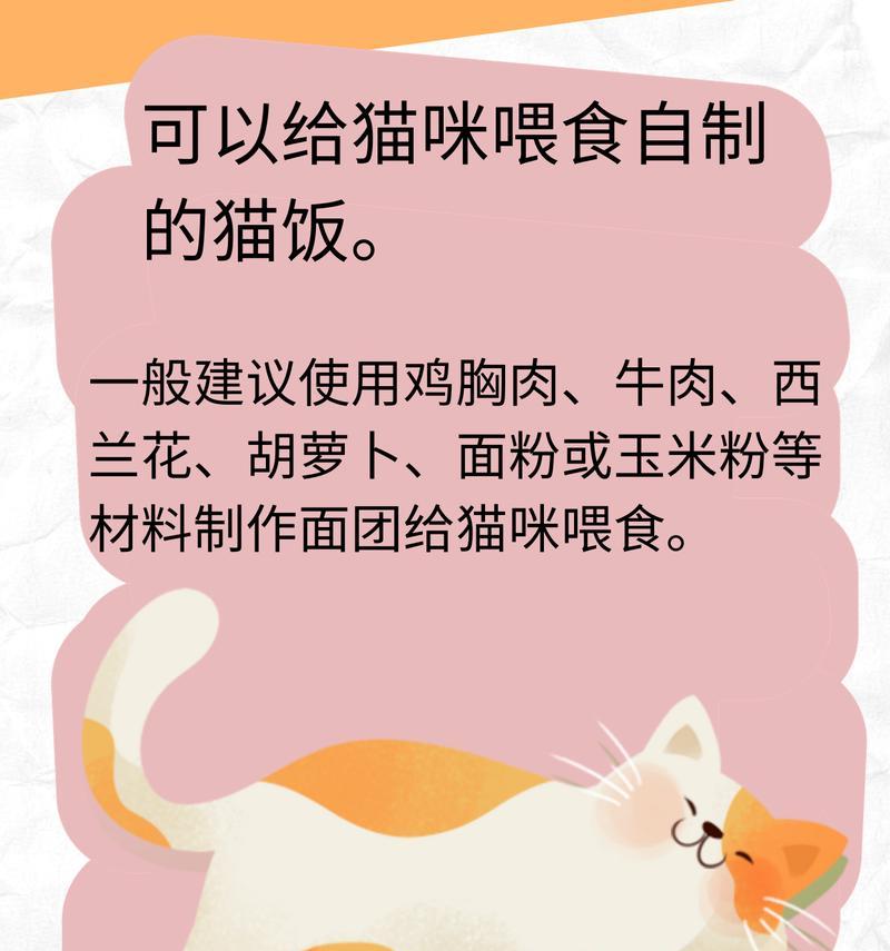 猫粮自己怎么做配方牛肉？自制猫粮的正确步骤是什么？