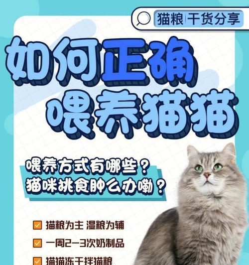 猫咪咬食猫粮的好处是什么？如何正确喂食？