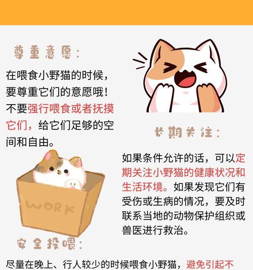 猫咪咬食猫粮的好处是什么？如何正确喂食？