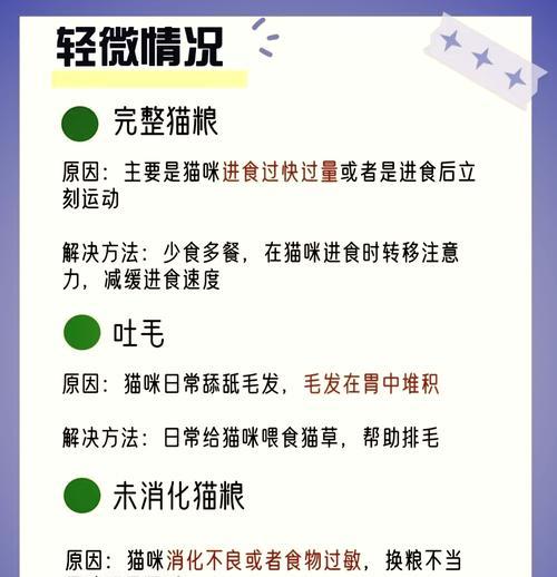 猫咪吃猫粮后呕吐怎么办？可能的原因是什么？