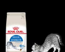 黑色袋子的猫粮为何昂贵？它的名字是什么？