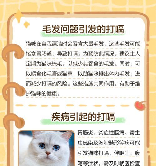 猫粮后打嗝如何缓解？