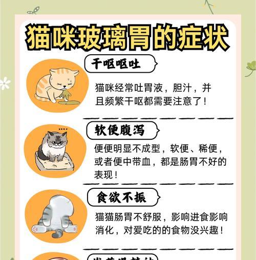 猫粮后打嗝如何缓解？