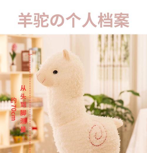 送羊驼什么礼物合适？有哪些适合的物品？