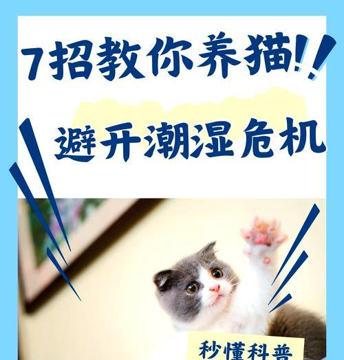 南方潮湿猫粮存储方法是什么？如何保持猫粮干燥？