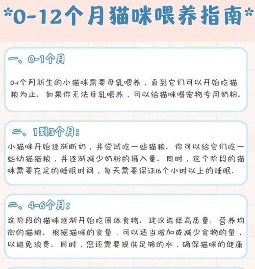 缺少猫粮时应喂食什么？