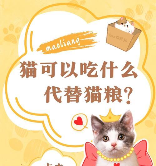 没有猫粮时可以给猫吃什么？替代食物的选择有哪些？