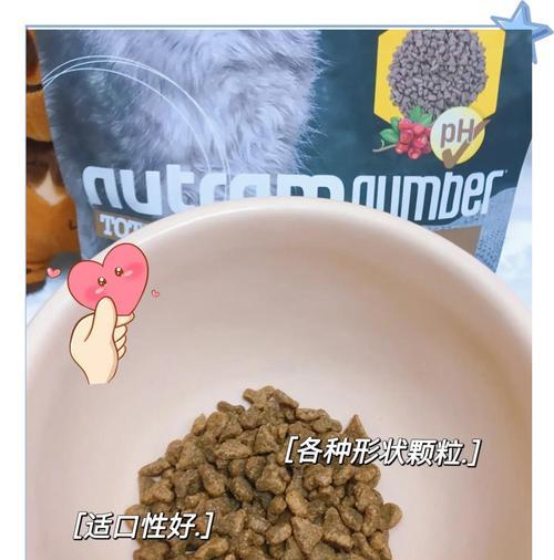 没有猫粮时可以给猫吃什么？替代食物的选择有哪些？