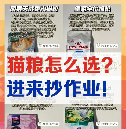 美短猫适合哪些猫粮推荐？