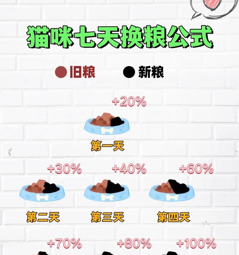 猫咪猫粮被收走后如何安抚？