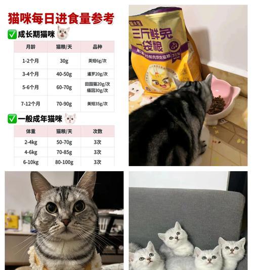 k9猫粮怎么喂？正确的喂食方法和量是多少？
