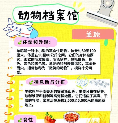 羊驼吃什么长得肥壮？如何科学喂养羊驼？