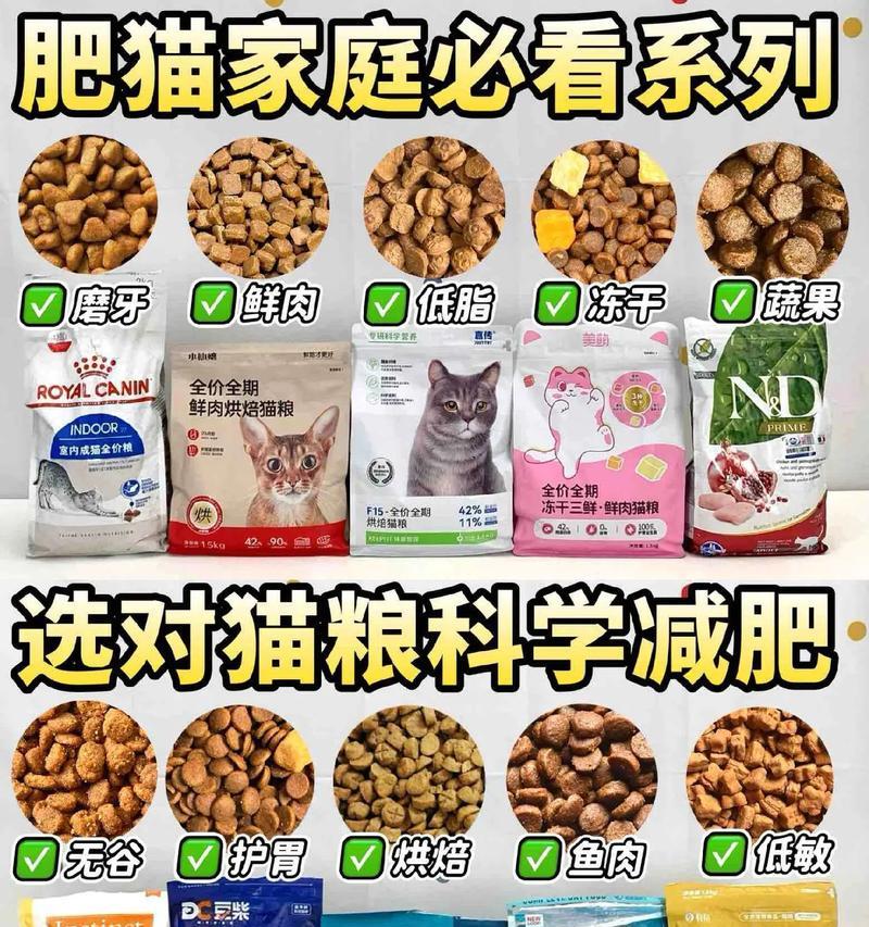 什么猫粮吃胖？哪些猫粮有助于猫咪增重？