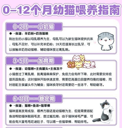 小猫多大开始吃猫粮合适？如何正确过渡到固体食物？