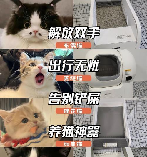 猫砂盆和猫粮盆的选择标准是什么？
