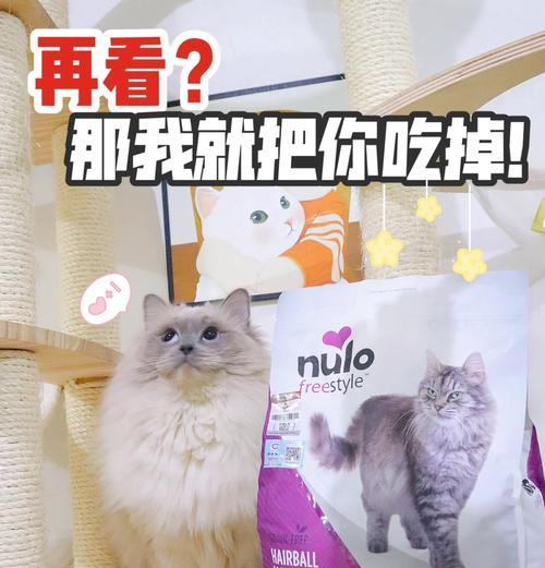 猫咪不吃饭嗷嗷叫怎么办？如何调整猫粮吸引猫咪？