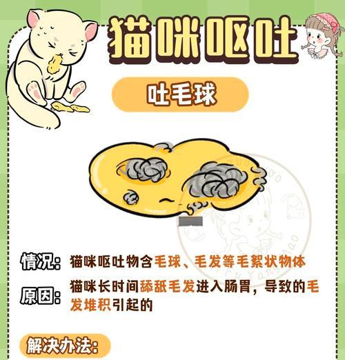 天气变凉猫咪呕吐且带有猫粮是什么原因？如何处理？