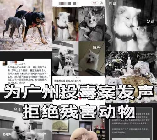 投毒致死德牧会受到怎样的法律惩罚？刑期通常是多久？