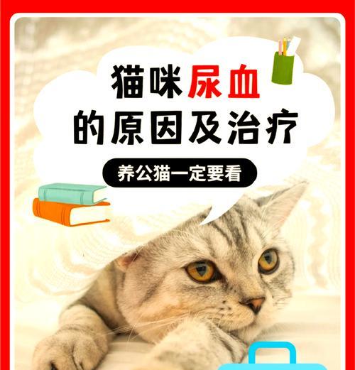 猫粮出现血迹是什么原因？如何确保猫粮的安全性？