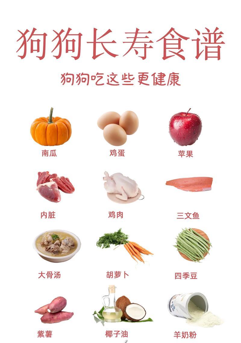 宠物狗的健康食材有哪些推荐？