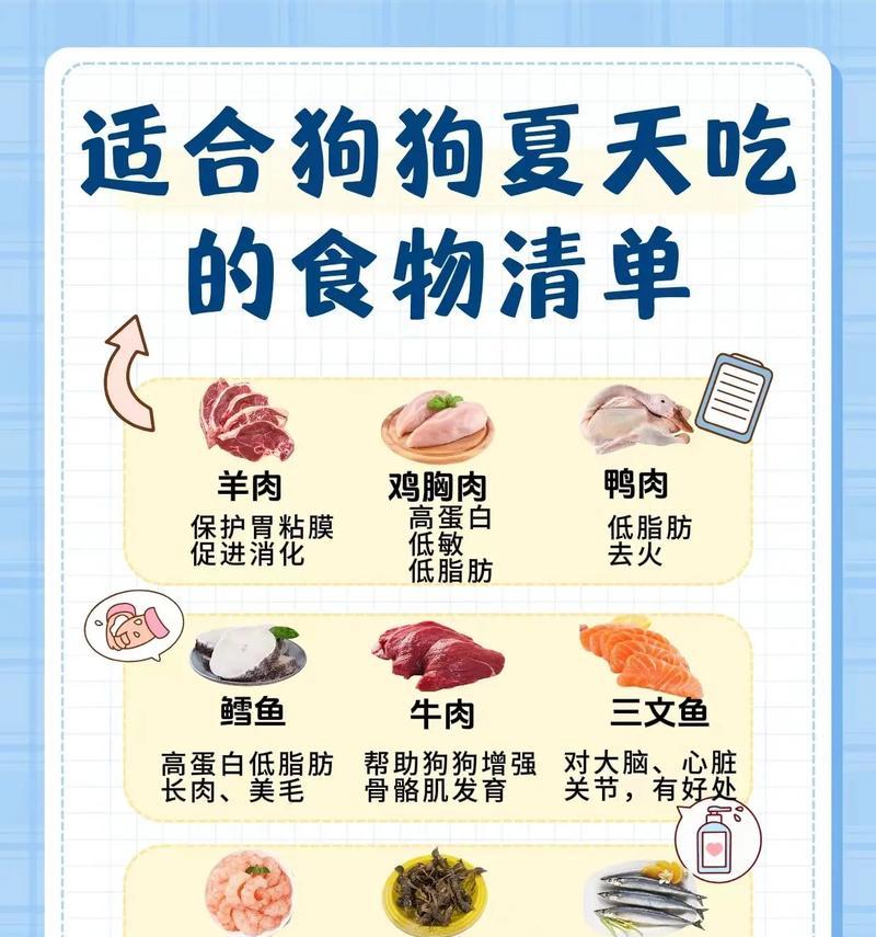 宠物狗的健康食材有哪些推荐？