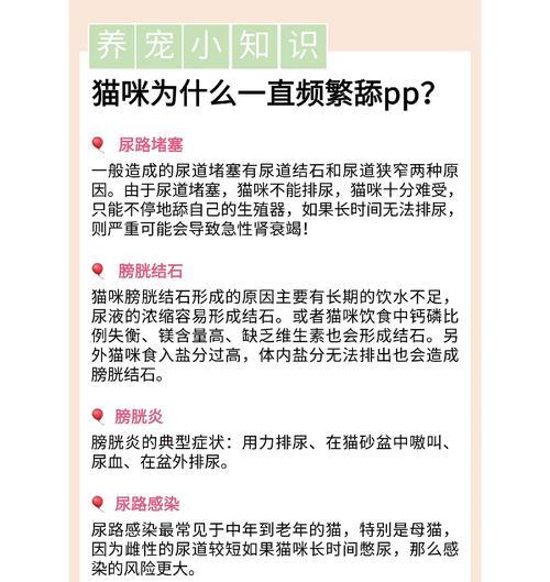 猫咪吃完猫粮后频繁舔身的原因是什么？