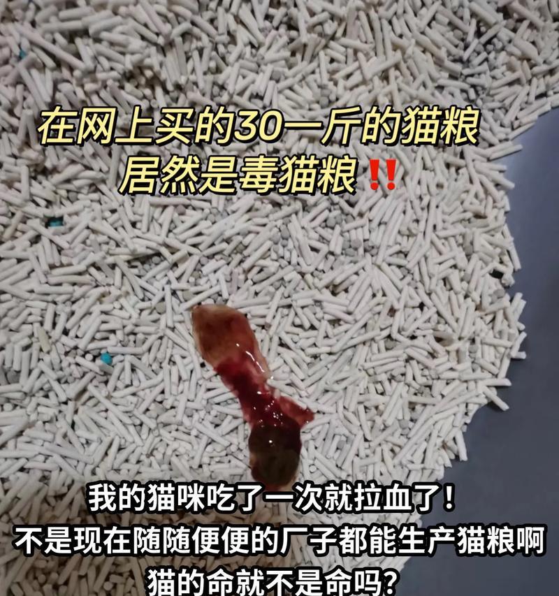 美国产猫粮原料污染严重吗？污染的原因是什么？