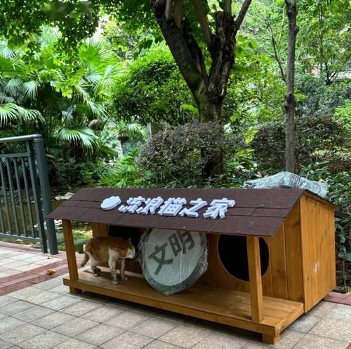 如何为流浪猫设置封闭式猫粮屋？封闭式猫粮屋有何好处？