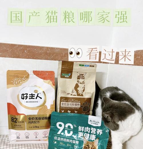 怎么给猫粮裹粉条？这样做对猫咪有好处吗？