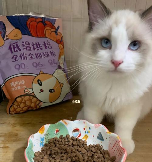 怎么给猫粮裹粉条？这样做对猫咪有好处吗？