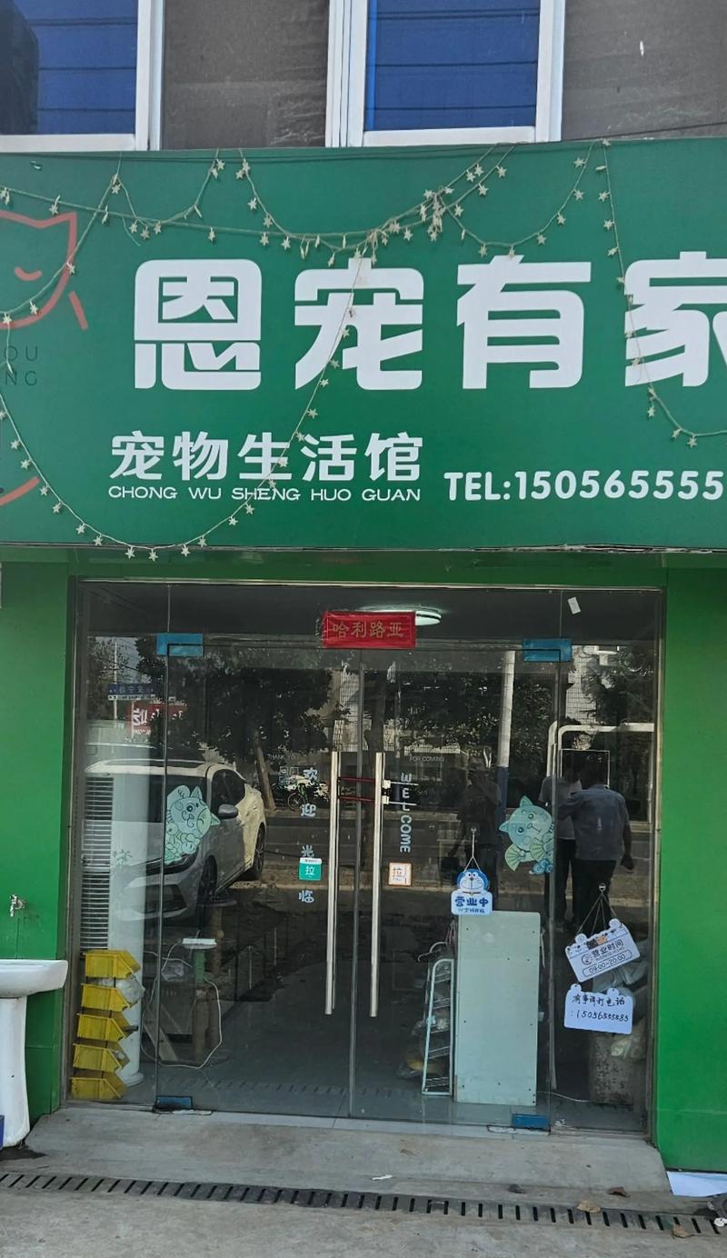 沈阳徐珊珊的猫粮店名字是什么？在哪里可以找到？