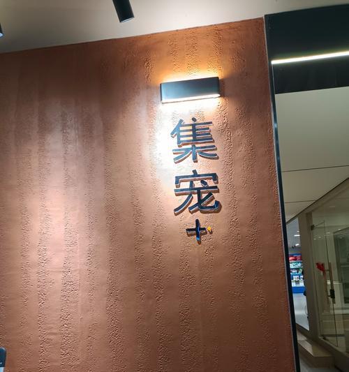 沈阳徐珊珊的猫粮店名字是什么？在哪里可以找到？