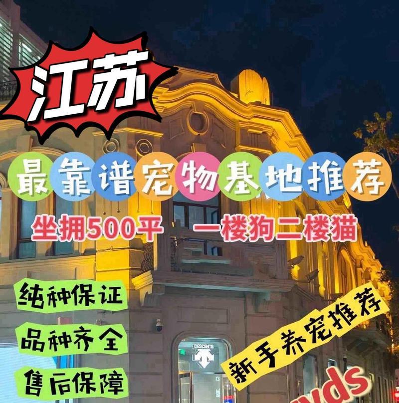 沈阳徐珊珊的猫粮店名字是什么？在哪里可以找到？