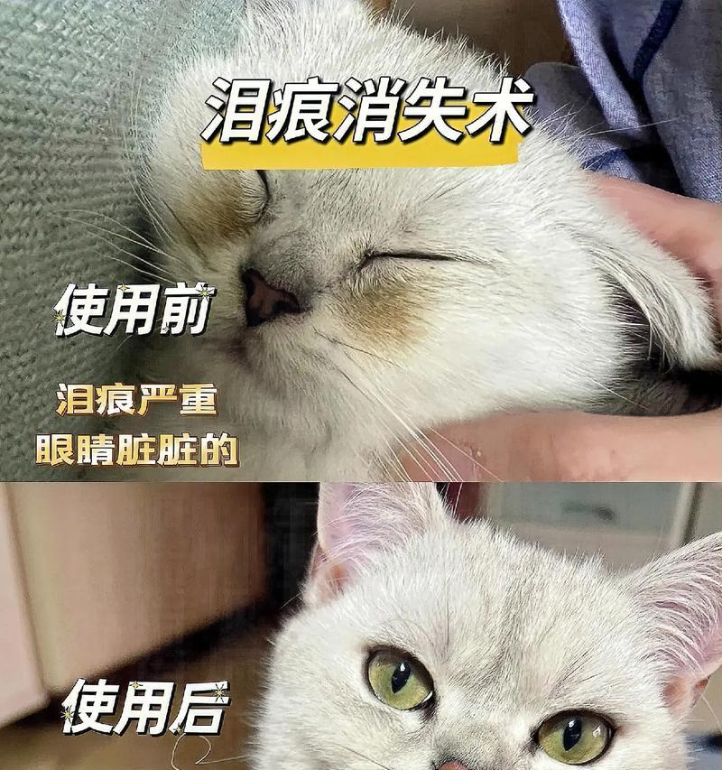 泪痕重是因为猫粮吃多了吗？还有哪些可能的原因？