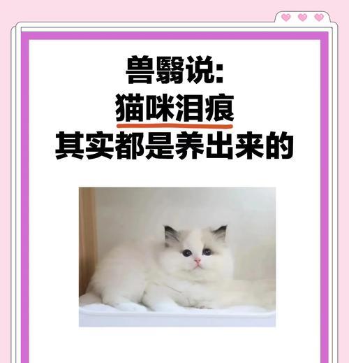 泪痕重是因为猫粮吃多了吗？还有哪些可能的原因？