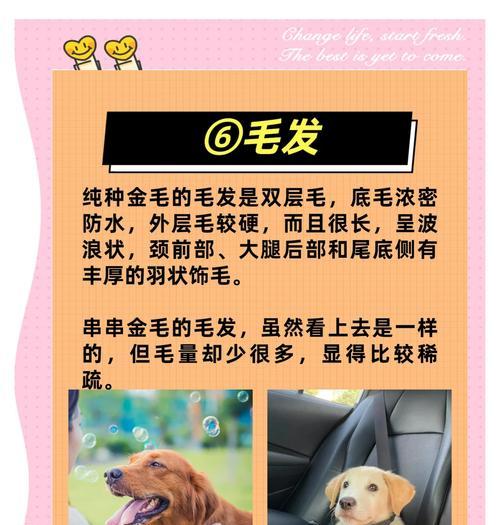 金毛串价格受哪些因素影响？