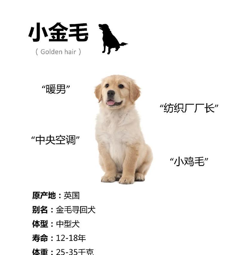 金毛串价格受哪些因素影响？
