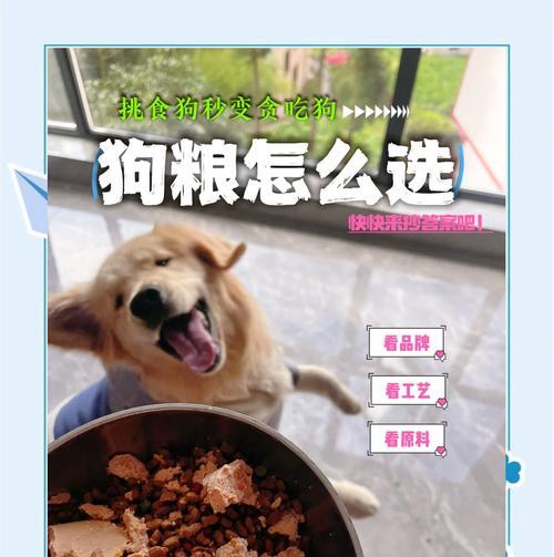 宠物粮让狗毛变得顺滑？这是什么原因造成的？