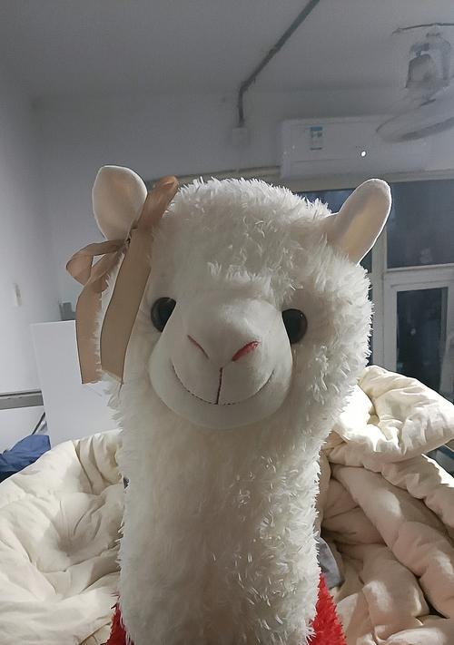 宠物羊驼帽子怎样搭配才好看？