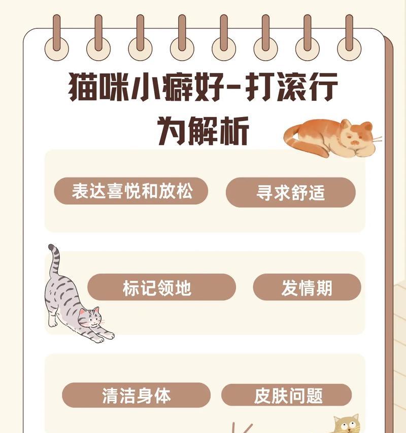 为什么猫总是喜欢打翻猫粮？