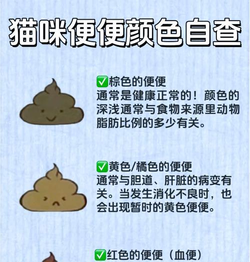 猫咪排便颜色异常代表什么？猫粮影响屎色吗？