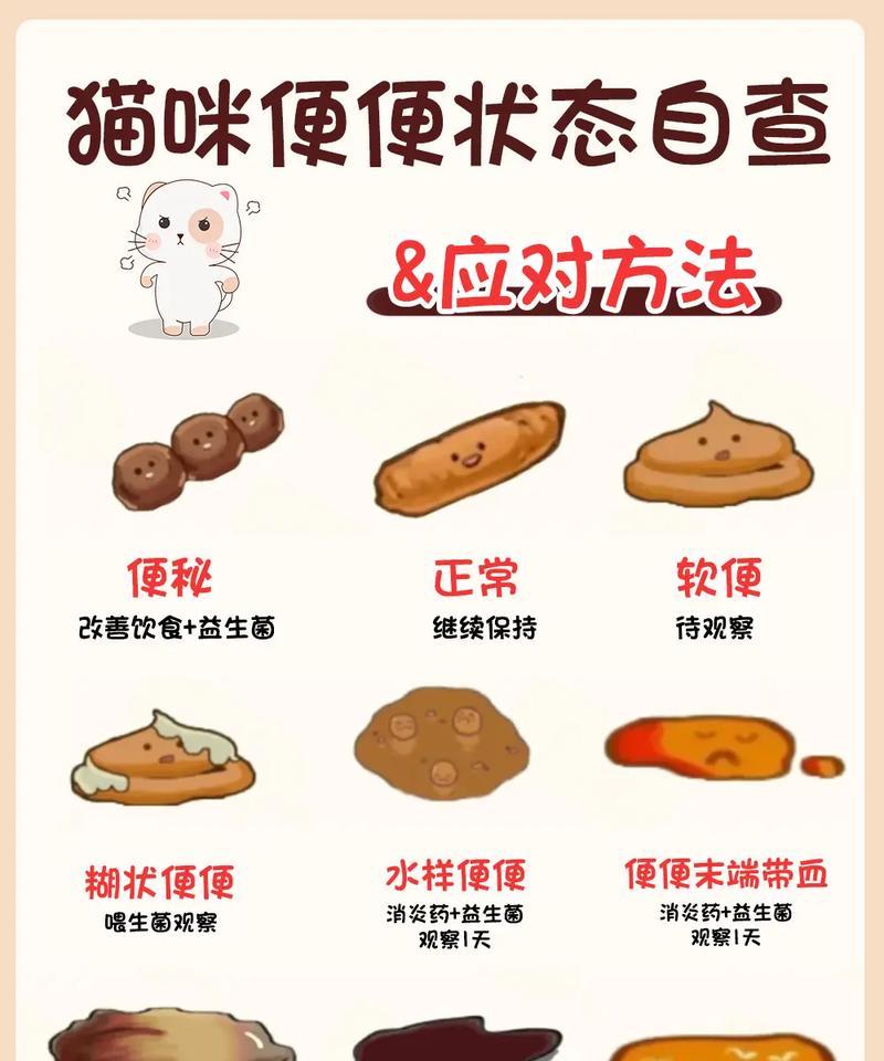 猫咪排便颜色异常代表什么？猫粮影响屎色吗？