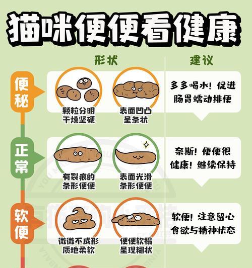 猫咪排便颜色异常代表什么？猫粮影响屎色吗？