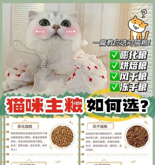 不同年龄的猫应该该怎么选猫粮？有哪些注意事项？