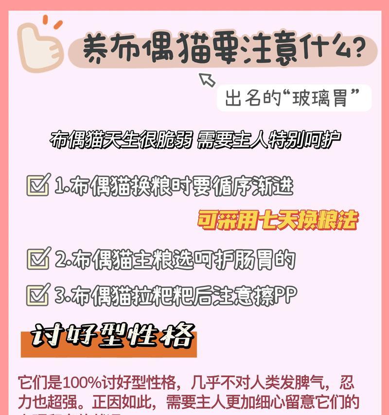猫咪直接换粮会生气吗？原因是什么？